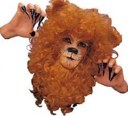my child has a fancy dress competition at school. The theme is nature but we are told not to use hired costumes. I have decided to make a lion please advice about dress?